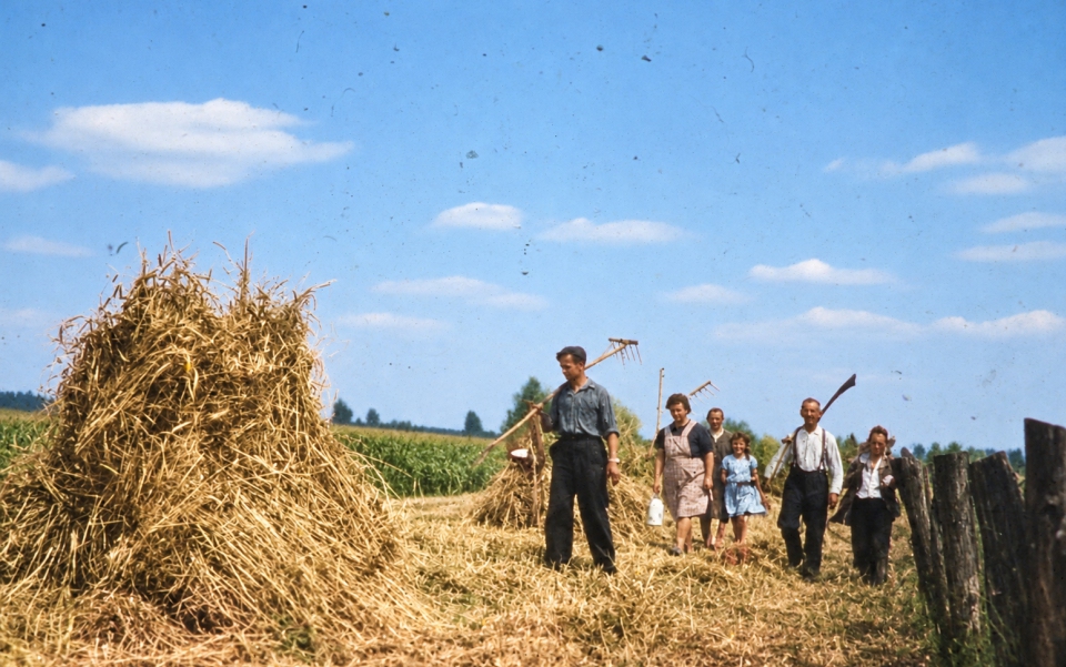 Landwirtschaft in Sendenhorst